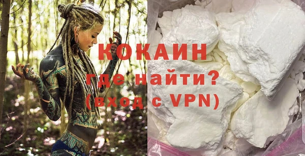 стаф Богданович
