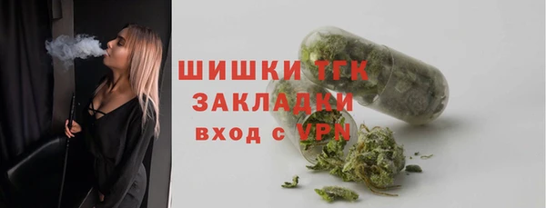 стаф Богданович