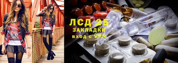 прущие грибы Богородск