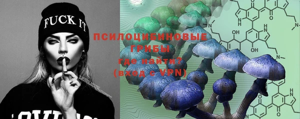 ешки Богородицк